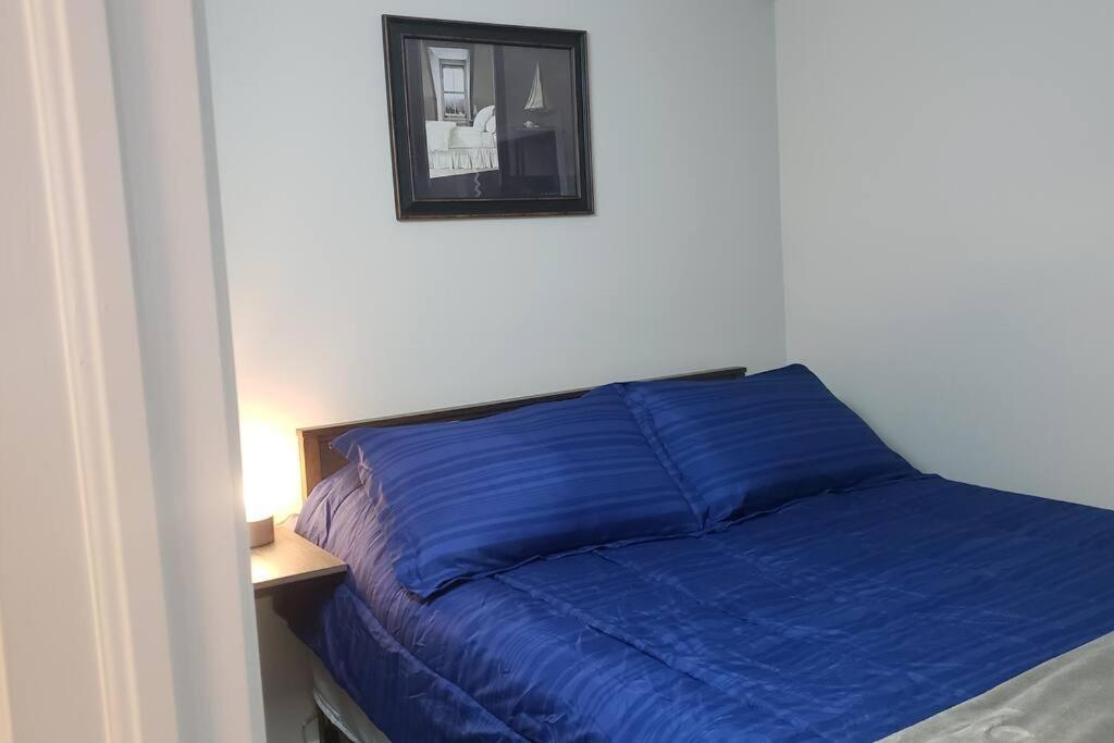 Cozy Home On A Quiet Street Minutes To Dt קינגסטון מראה חיצוני תמונה