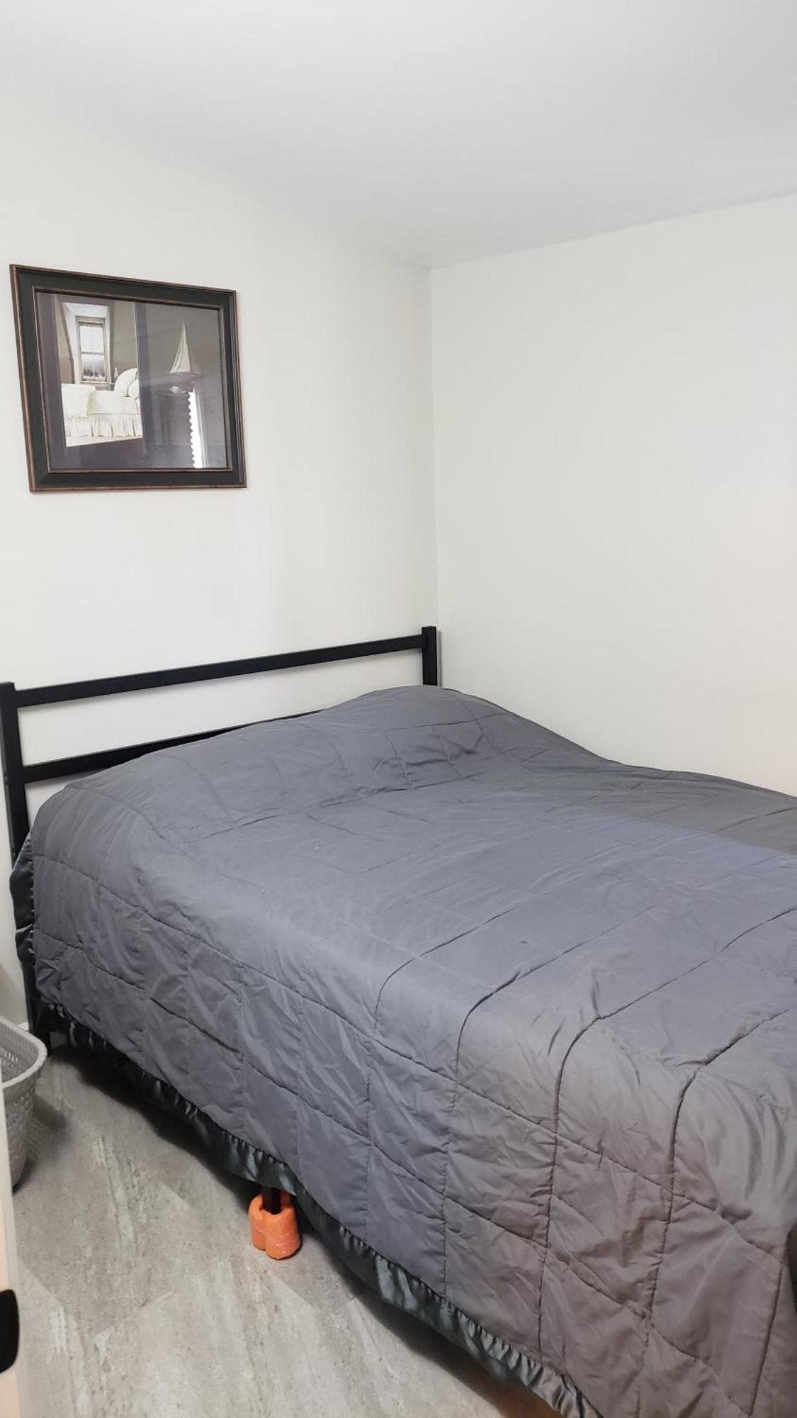 Cozy Home On A Quiet Street Minutes To Dt קינגסטון מראה חיצוני תמונה